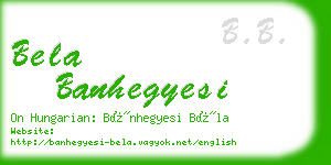 bela banhegyesi business card